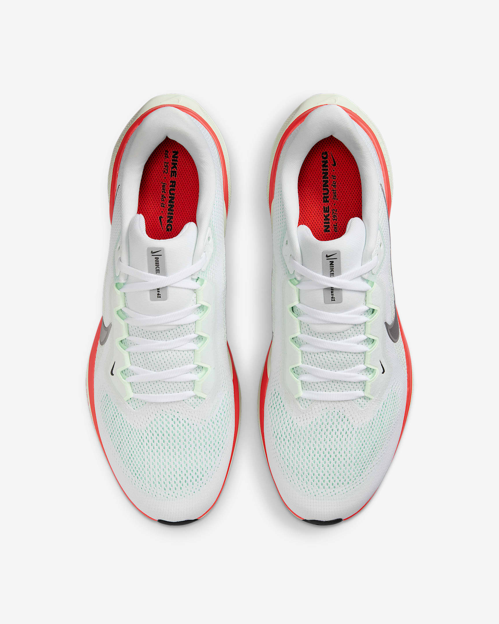 Nike Pegasus 41